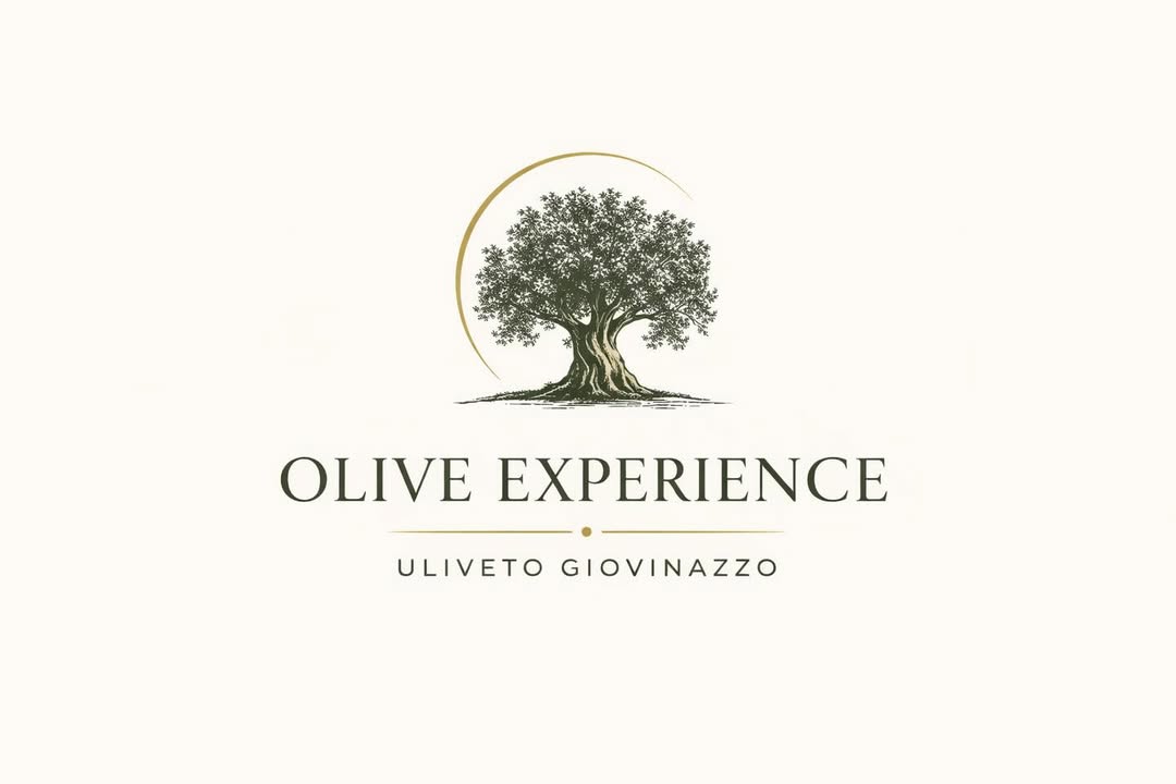 Olive Experience · Gaj oliwny w Giovinazzo